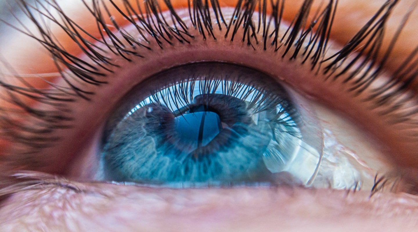 contact-lens-image contact-lens-image